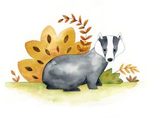 Badger